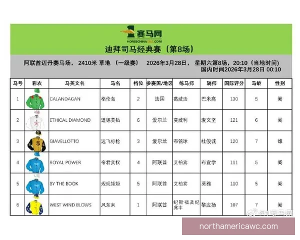 世界杯竞猜：预测冠军之路，分析赛事数据，赢取丰厚大奖！